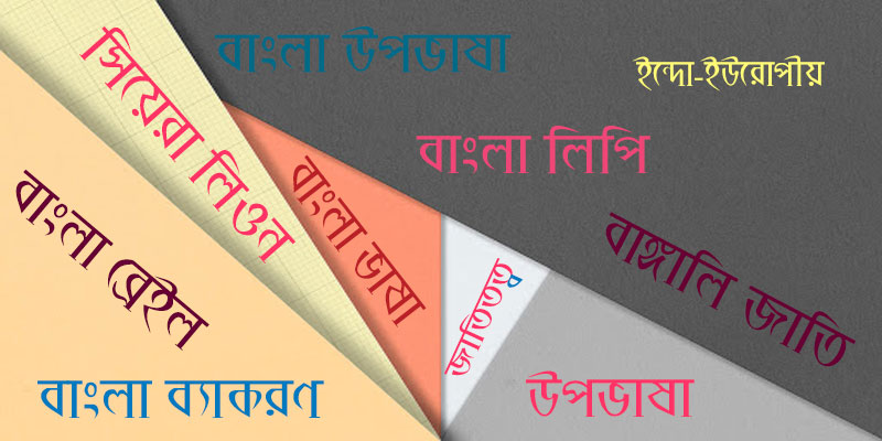  বাংলা ভাষা ও ব্যাকরণ   